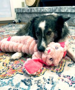 KONGSHCX4E-3-download