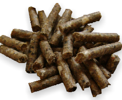 Kuvatommis-2023-01-27-154703