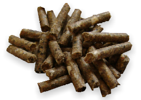 Kuvatommis-2023-01-27-154703