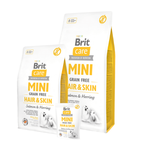 Kuvatommis-2023-03-10-124314