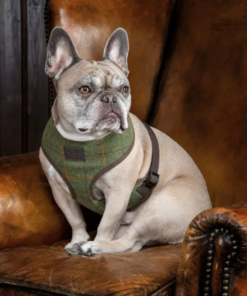 Kuvatommis-2023-03-24-123322