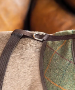 Kuvatommis-2023-03-24-123334