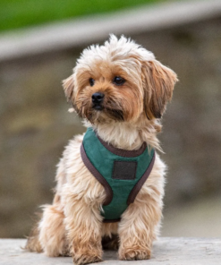 Kuvatommis-2023-03-24-123411