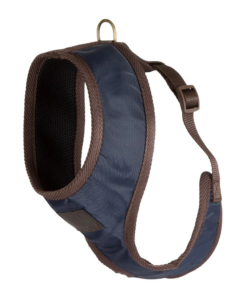 Kuvatommis-2023-03-24-123425