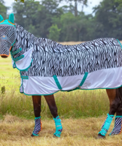 Kuvatommis-2023-03-24-130805