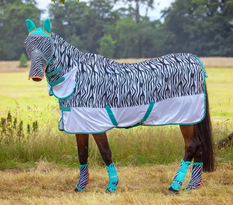 Kuvatommis-2023-03-24-130805