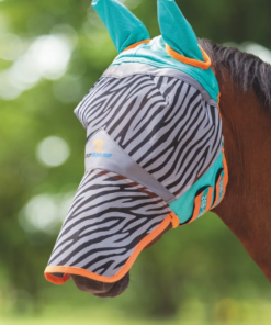 Kuvatommis-2023-03-24-132925