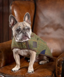 Kuvatommis-2023-03-24-135300