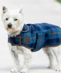 Kuvatommis-2023-03-24-135329