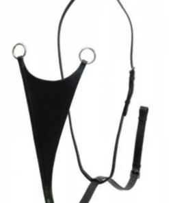 Kuvatommis-2023-04-11-102224