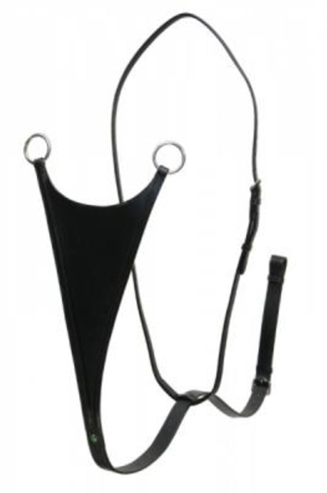 Kuvatommis-2023-04-11-102224