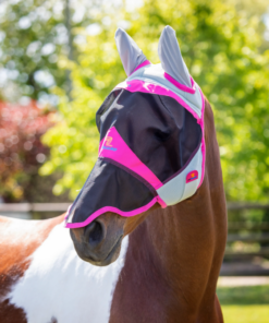 Kuvatommis-2023-05-30-131342