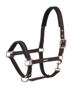 Kuvatommis-2023-10-16-142509