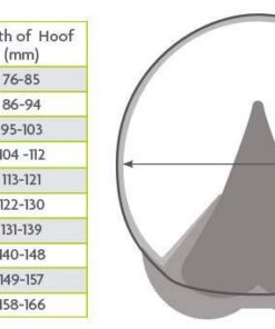 Medical-hoof-boot-V5
