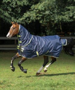 Oasis-Turnout-Neck-674-670-P3731-600x600-2