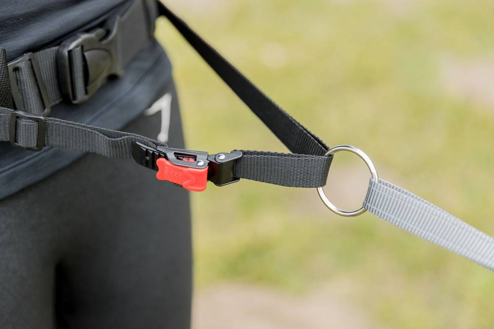 PHO-IMAGE-DOG-Joggingleine-Detail-Wiese-3-SALL-AWK-V1