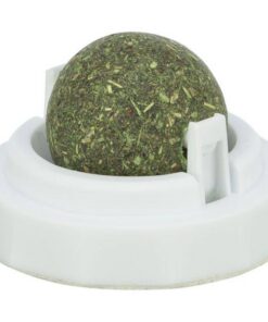 PHO-PRO-CLIP-42242-3-SALL-AWK-V1