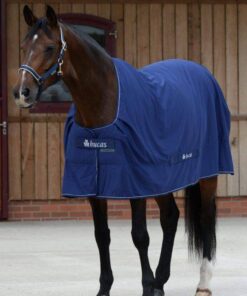 Power-Cooler-Navy-4331-scaled-600x600