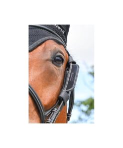 Removable-week-blinders-1