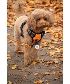 SPOT0015A-6-download