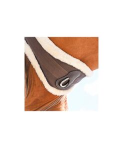 Safety-Anatomic-One-Girth-jumpin-2