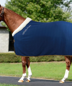 Screenshot-2021-11-18-at-08-38-13