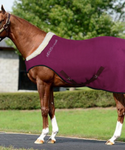 Screenshot-2021-11-18-at-08-41-13