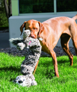 Screenshot-2021-12-16-at-09-12-52