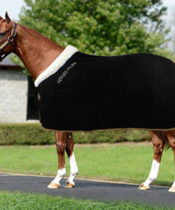 Screenshot-2022-02-28-at-14-31-19