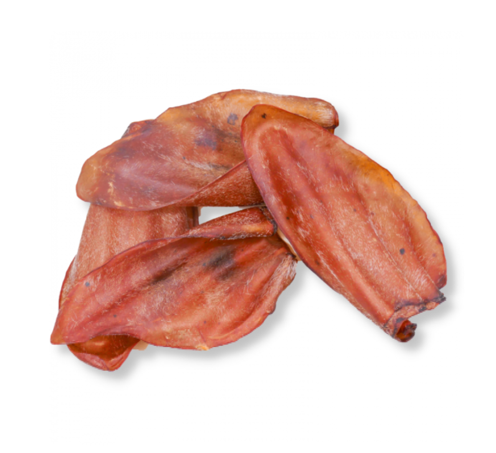 Screenshot-2022-05-06-at-13-42-36