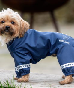 Screenshot-2022-07-26-at-12-36-57