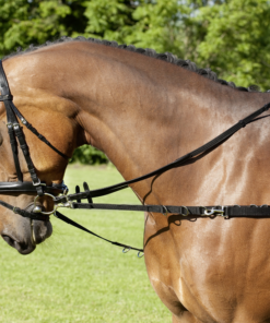 Screenshot-2022-08-22-at-11-36-20