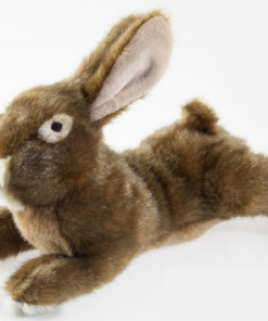 Screenshot-2022-08-22-at-13-11-37