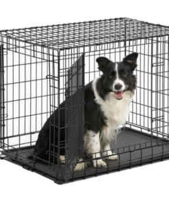 Screenshot-2022-08-22-at-13-59-49