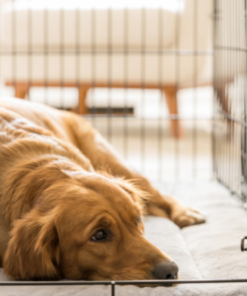 Screenshot-2022-08-22-at-14-00-02