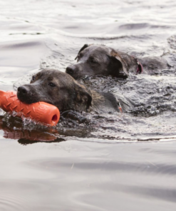 Screenshot-2022-08-22-at-15-15-27