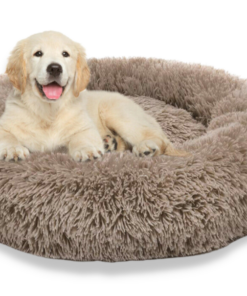 Screenshot-2022-08-22-at-15-24-31