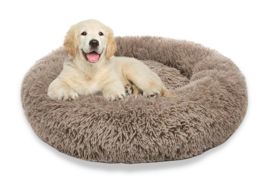 Screenshot-2022-08-22-at-15-24-31