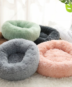 Screenshot-2022-08-22-at-15-24-41