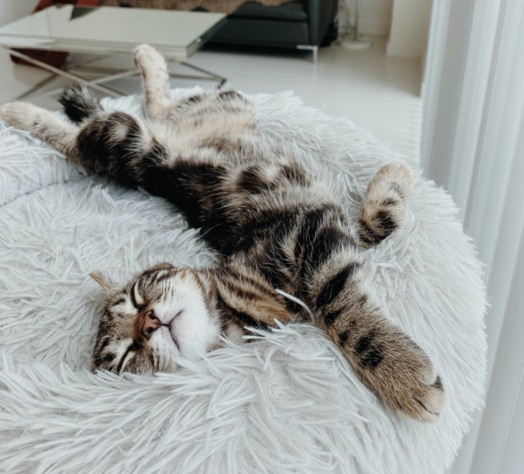 Screenshot-2022-08-22-at-15-24-53