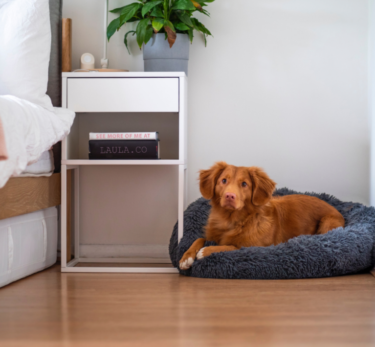 Screenshot-2022-08-22-at-15-25-03