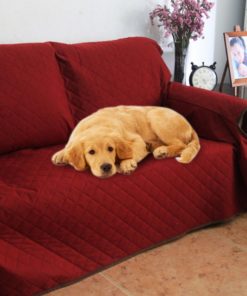 Screenshot-2022-08-22-at-15-50-47