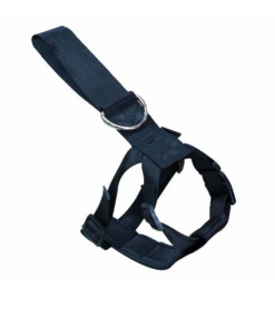 Screenshot-2022-08-22-at-15-55-30