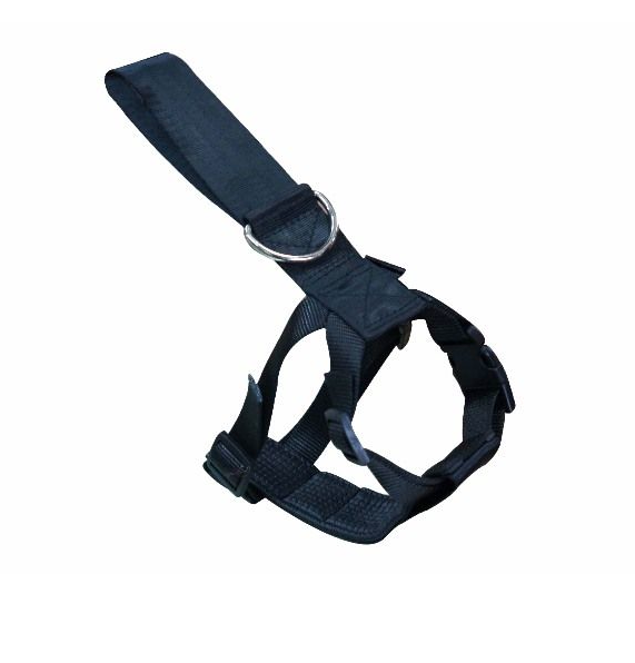 Screenshot-2022-08-22-at-15-55-30