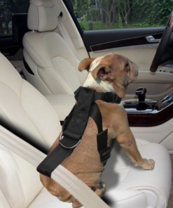 Screenshot-2022-08-22-at-15-55-42