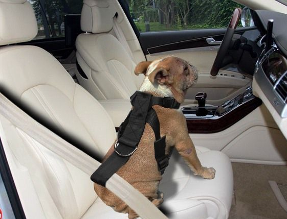 Screenshot-2022-08-22-at-15-55-42