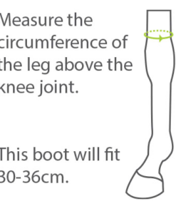 Screenshot-2022-08-23-at-13-49-31