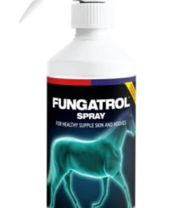 Screenshot-2022-08-23-at-14-20-27