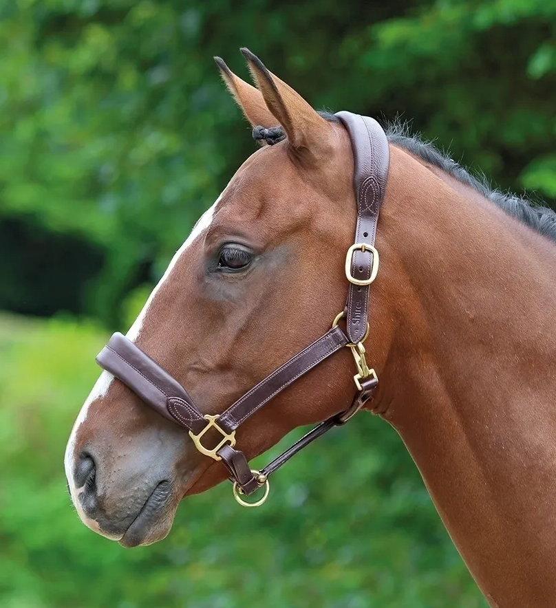 Screenshot-2022-09-21-at-11-50-45