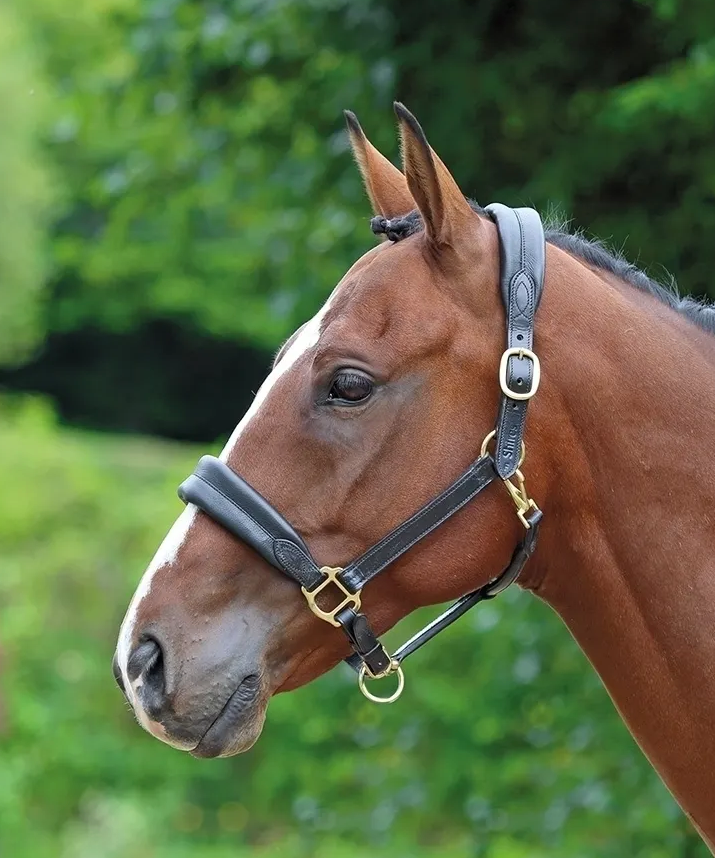 Screenshot-2022-09-21-at-11-50-57